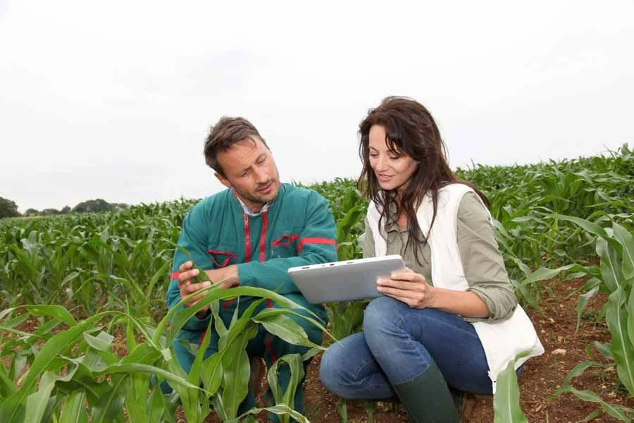Agriculture Engineer Job in Dubai