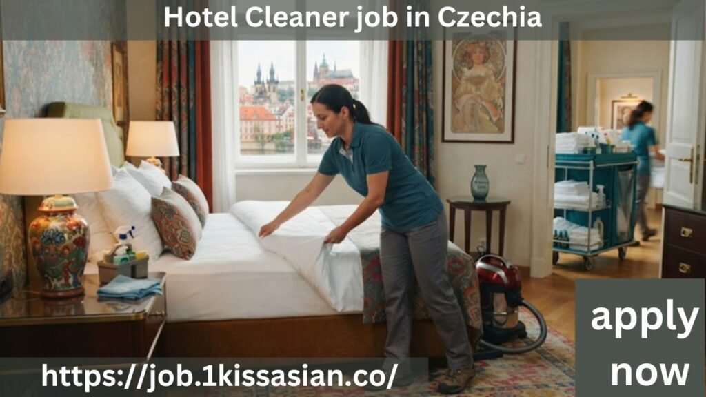 Hotel Cleaner job in Czechia