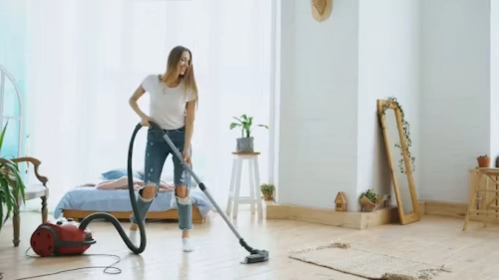 Cleaner Job in Slovakia