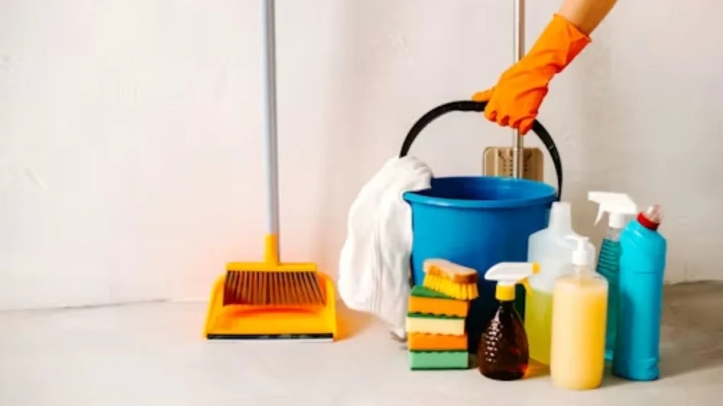House Cleaner Job in Czechia