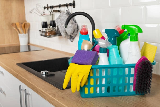 Cleaning Job in France